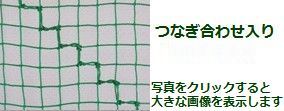  NbNƉ摜g債܂